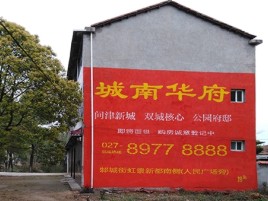  黑水百分之90的人都不了解的农村墙体广告