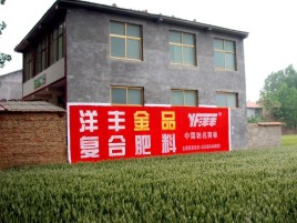  黑水如何让墙体广告展现最大化效果