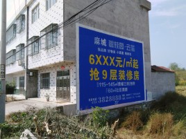  黑水墙体广告质量分析