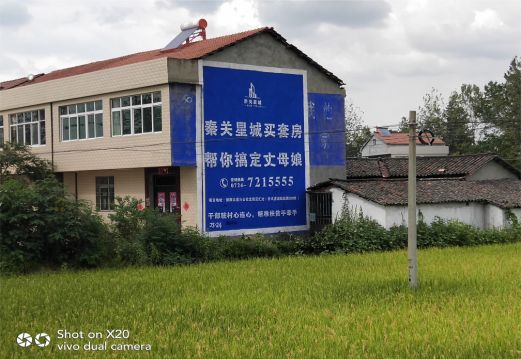 黑水决定墙体广告价格的因素有哪些?